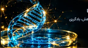 DNA و پتریدیش